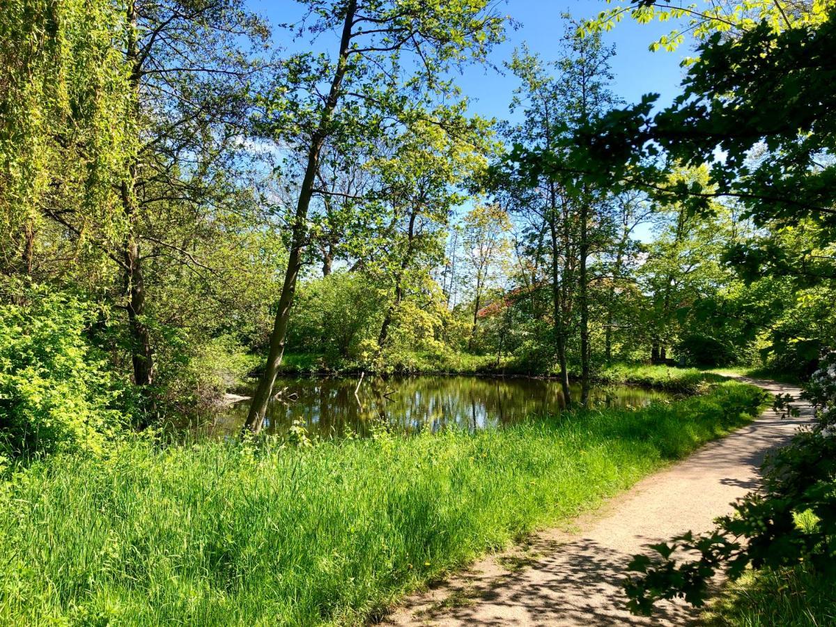 Ferienwohnung Parkblick Bremerhaven Eksteriør billede