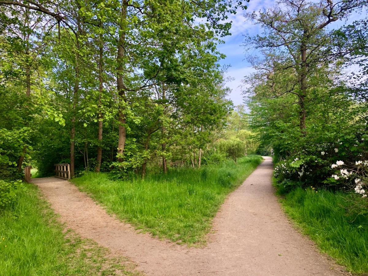 Ferienwohnung Parkblick Bremerhaven Eksteriør billede